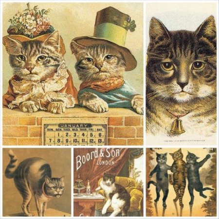 Обложка Старые Винтажные открытки с котами