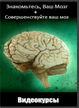 Обложка Знакомьтесь, Ваш Мозг + Совершенствуйте ваш мозг (Видеокурсы)