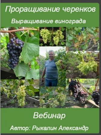 Обложка Проращивание черенков, выращивание винограда (Вебинар)