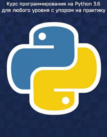 Обложка Курс программирования на Python 3.6 для любого уровня с упором на практику (2019) Видеокурс