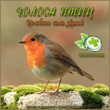 Обложка Звуки природы - Голоса птиц - Целебная сила звуков (2015) Mp3