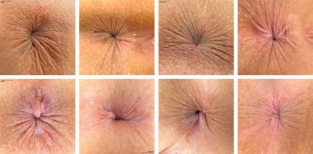 Обложка Шоколадные дырочки - Коллекция анусов (Anus Collection) - 200 фото
